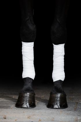 Incrediwear Equine Bandagen - WB white