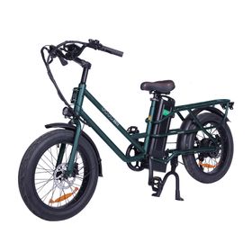 GOGOBEST GF200 Elektrisches Lastenrad mit 48V 15,6Ah Akku