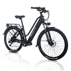 Hedatx TXC10 Elektrofahrrad mit 48V 19,2Ah Akku, Shimano 9-Gang-Schaltung