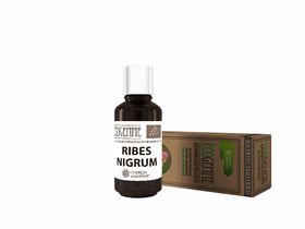 L'Energia delle Piante Ecogemme Ribes Nigrum