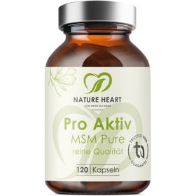 Nature Heart MSM Pure Pro Aktiv