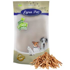Lyra Pet® Kleine Fische