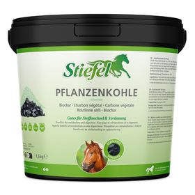 Stiefel Pflanzenkohle