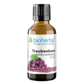 Traubenkern Vitis vinifera L. Tropfen Tinktur 50 ml PZN 18217786