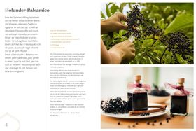 Zu Gast im Kuppelrain: Gelebte Nachhaltigkeit in der Sterneküche Philosophie, Rezepte, Inspiratio...