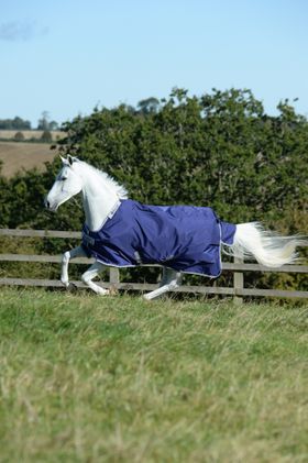 Bucas Atlantic Turnout