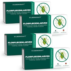 SILBERKRAFT Florfliegenlarven
