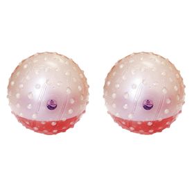 Trial Gewichtsball Fluisense