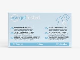 GetTested Früher Schwangerschaftstest für Hunde & Katzen