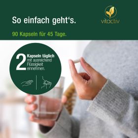 Vitactiv - INGWER Extrakt