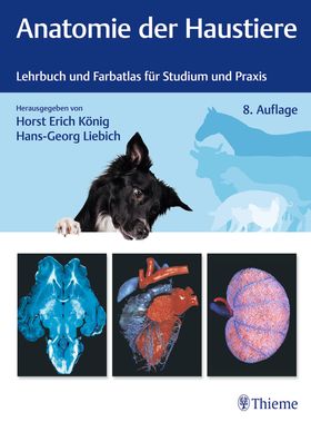Anatomie der Haustiere Lehrbuch und Farbatlas für Studium und Praxis