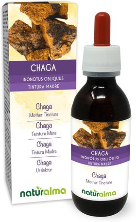 Naturalma Chaga Inonotus obliquus  Flüssig Extrakt
