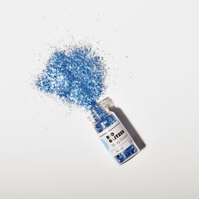 Birkenspanner Bioglitzer Dizzy Dolphin 5g