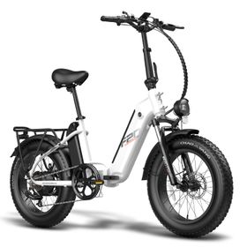 Fafrees FF20 Polar Falt-Elektrofahrrad mit Doppelakku 20,8 Ah