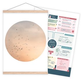 littleplan® Erste-Hilfe-Poster Erwachsene Birds