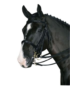Hubertus Classic Kandarenzaum