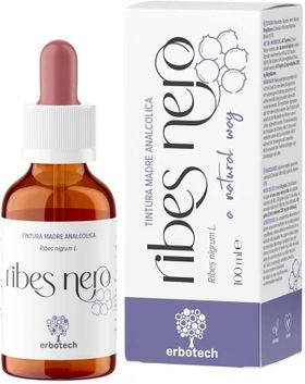 ERBOTECH Schwarze Johannisbeere Urtinktur