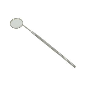 Excellent Mundspiegel