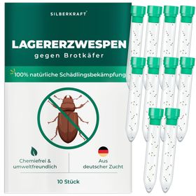 SILBERKRAFT Lagererzwespen gegen Brotkäfer