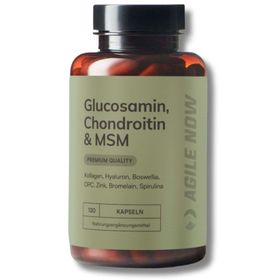 AGILE NOW Gelenkkapseln Komplex mit Glucosamin, Chondroitin und MSM