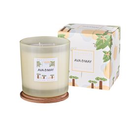 AVA & MAY Madagaskar Große Duftkerze