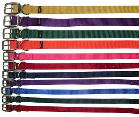 Weaver Hundehalsband Hunt & Sport Plus Premium Geschirrleder, 2,5 cm breit