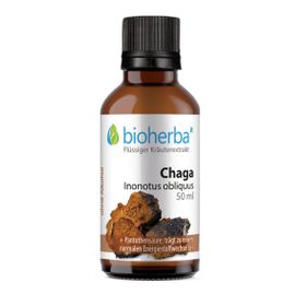 Chaga Inonotus obliquus Tropfen Tinktur 50 ml PZN 18217792