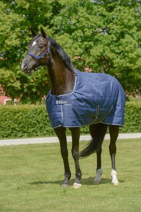 Bucas Quilt  SD