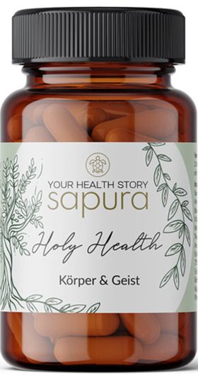 Holy Health MultiKomplex ⭐MSM⭐L-Lysin⭐ Vitamin C + Magnesium + B-Komplex | 60 Kapseln