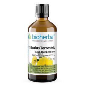 Tribulus Terrestris Erd-Burzeldorn Tropfen Tinktur 100 ml PZN 17186782