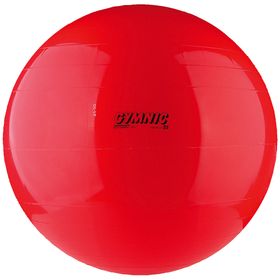 Gymnic Fitnessball