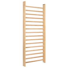 Sport-Thieme Sprossenwand Einzelfeld, 240x100 cm