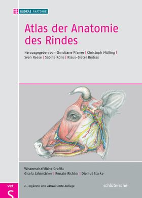Atlas der Anatomie des Rindes Inklusive Supplement