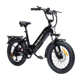 Bodywel F20 Elektrofahrrad mit 48V 13,5Ah Akku
