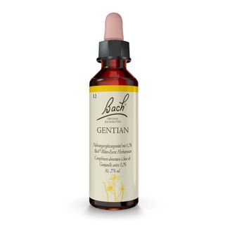 BACH-BLTE HOLLY (Stechpalme) 20 ml - Shop Apotheke