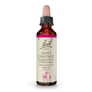 BACH-BLTE HOLLY (Stechpalme) 20 ml - Shop Apotheke