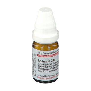 DHU Thuja C30 8x1 ml - Shop Apotheke