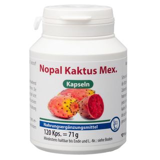 Nopal Kaktus Pulver 100 g - Shop Apotheke