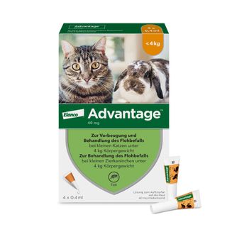 Advantage Spot-On 40 gegen Flöhe für kleine Katzen und Zierkaninchen bis 4 kg Körpergewicht, schneller und effektiver Flohschutz