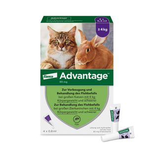 Advantage Spot-On 80 gegen Flöhe für große Katzen und Zierkaninchen von 4 bis 8 kg Körpergewicht