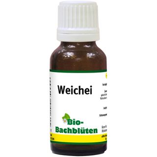 DHU Thuja D6 20 ml - Shop Apotheke