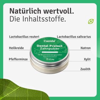 Casida Dental Protect Zahnpulver – Ohne Fluorid, Mit Lactobacillus Bakterien, Basisch & Vegan, 30 G, Aus Der Apotheke