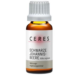 kirschlorbeer billig kaufen Kirschlorbeer 'Rotundifolia' | kaufen main image 1