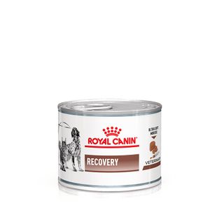 ROYAL CANIN® Recovery Ultra weicher Schaum Hund und Katze