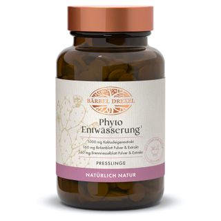zimmerpflanze große blätter mit löchern Monstera deliciosa