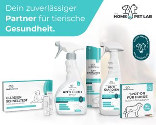 HomePetLab Giardien Schnelltest für Hunde & Katzen 2er Packung