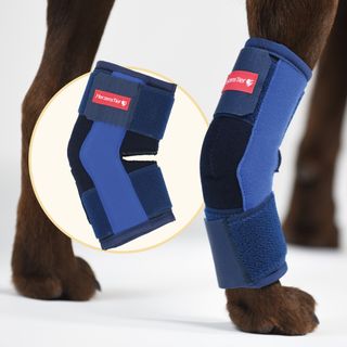 HerzensTier Sprunggelenkbandage Schaumstoff für Hunde & Katzen