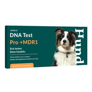 DNA Test Rassebestimmung + MDR1 Hund