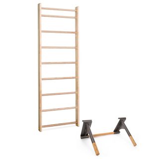 Sport-Thieme Sprossenwand mit Klimmzug-Dip-Stange