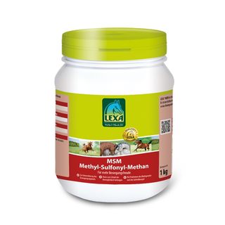 LEXA Pferdefutter MSM (Methyl Sulfonyl Methan)